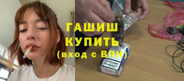 индика Горняк