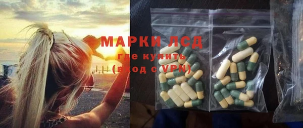 индика Горняк
