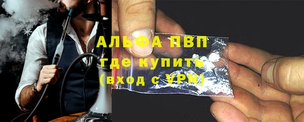 индика Горняк