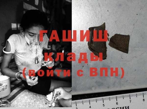 индика Горняк
