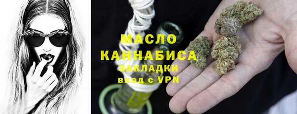 индика Горняк