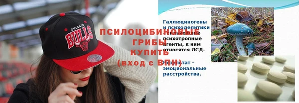 индика Горняк