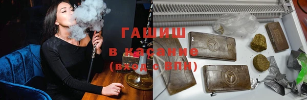 прущие грибы Горно-Алтайск