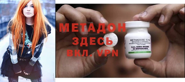 прущие грибы Горно-Алтайск