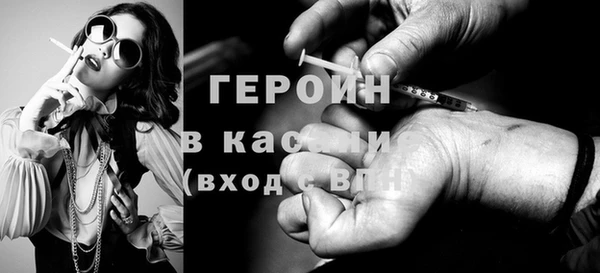 прущие грибы Горно-Алтайск