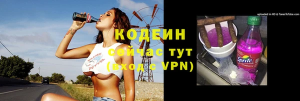 индика Горняк