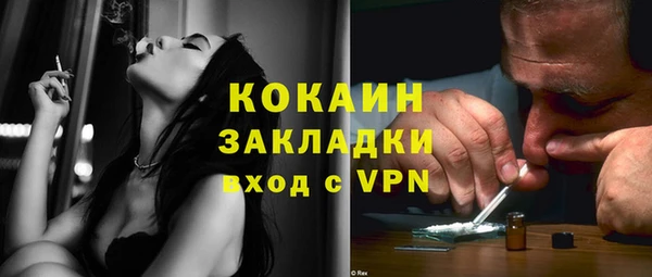 индика Горняк