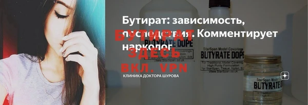 индика Горняк