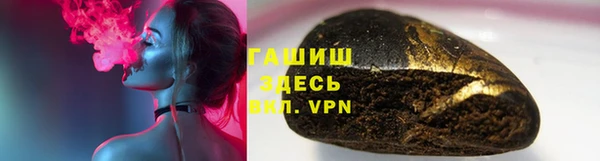 прущие грибы Горно-Алтайск