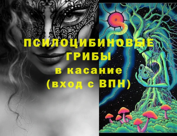 твердый Вязьма