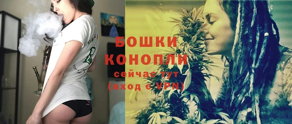 прущие грибы Горно-Алтайск