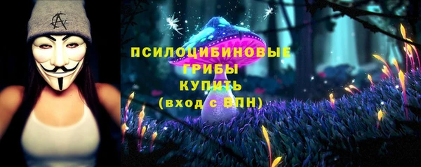 MDMA Горнозаводск