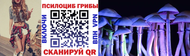 Купить где  Лобня  Псилоцибиновые грибы Cubensis 